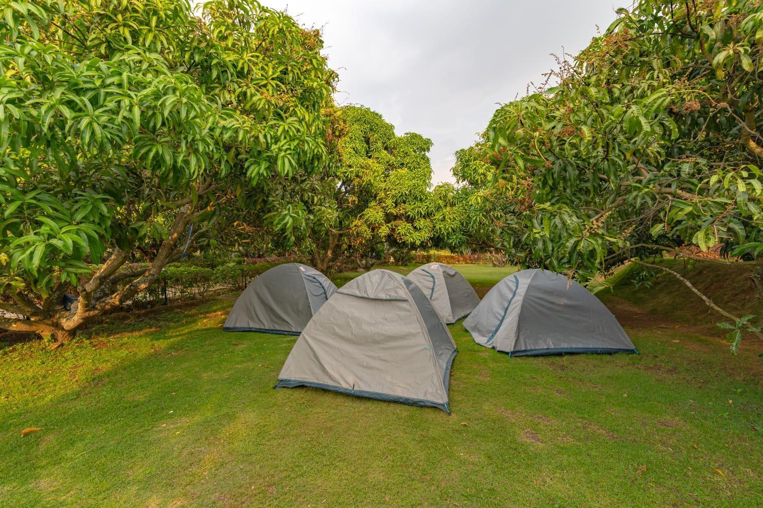 Q Mango Resort Rāmanagaram Extérieur photo