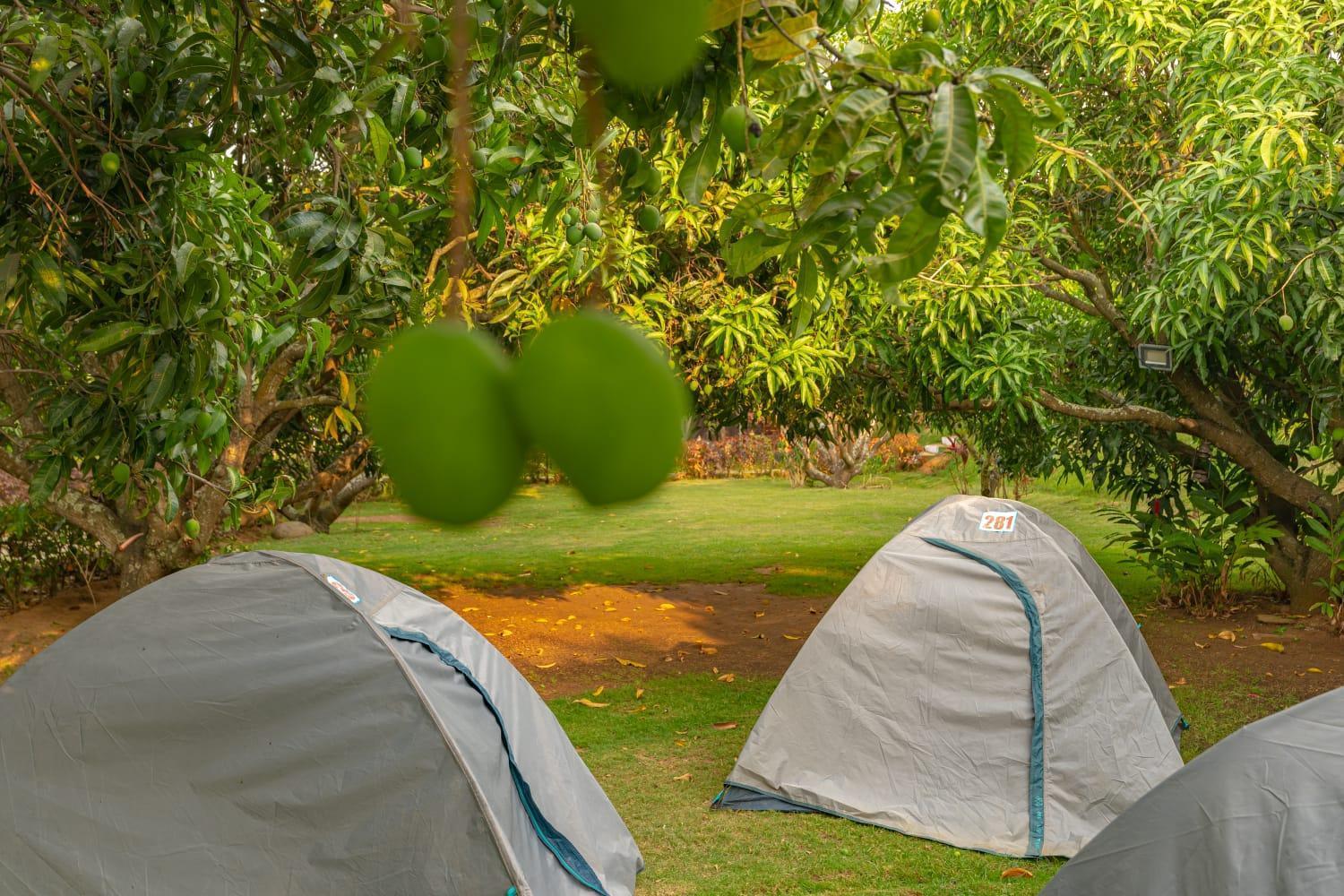 Q Mango Resort Rāmanagaram Extérieur photo